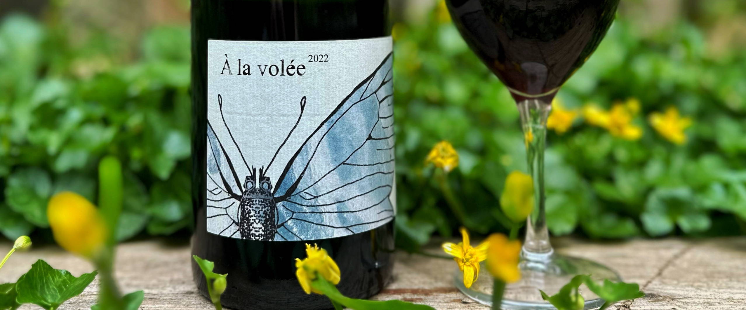 France, vin nature, rawwine, organic wine, vin bio, vin sans intrants, raizin brut, vin rouge, vin blanc, rouge, blanc, nature, vin propre, vigneron, vigneron indépendant, domaine bio, biodynamie, vigneron nature, cave vin naturel, cave vin, caviste, vin biodynamique, raizin brut, Quimper, Finistère 