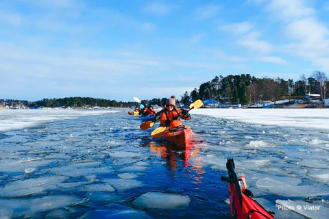 From Vaxholm: Winter Kayaking, Swedish Fika and hot Sauna Experience