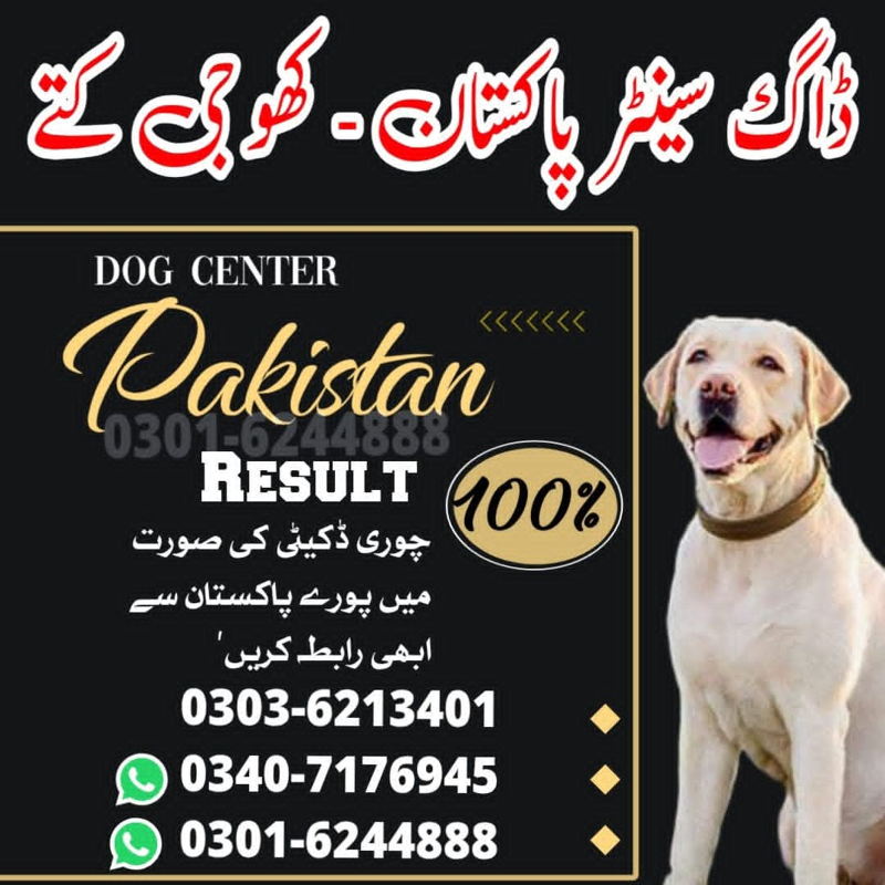 https://ucarecdn.com/51dbf488-49dd-44f7-8058-a2c4f1c43770/-/preview/ cover