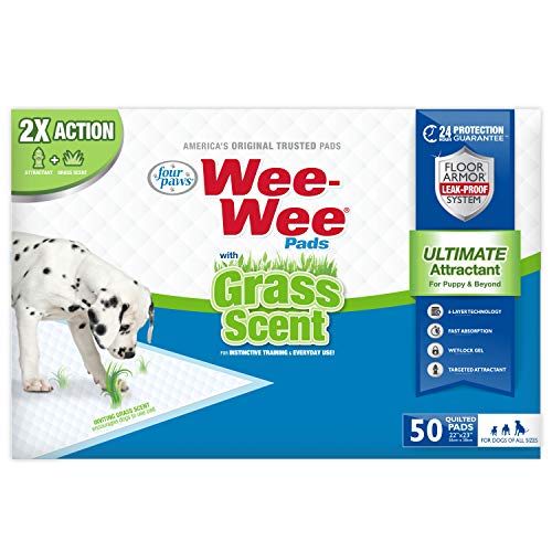 AmazonBasics Dog and Puppy Pee Potty Training Pads vs Four Paws WeeWee