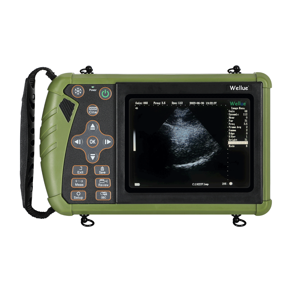 S0 vet ultrasound with Pseudo-Color