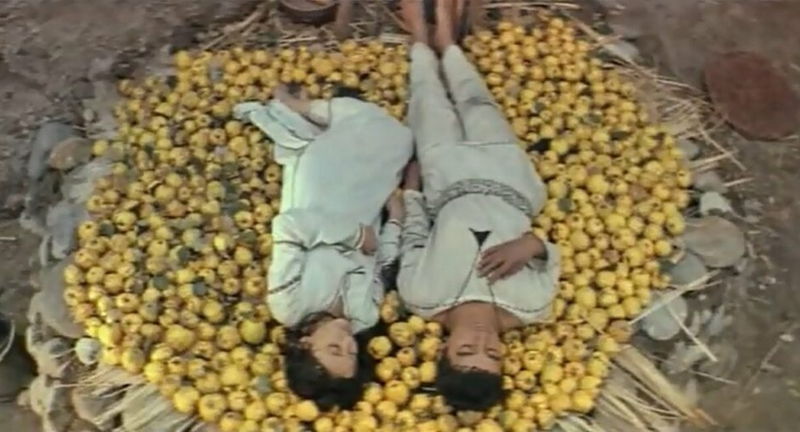 Film Screening & Artist Talk: Man Follows Birds
