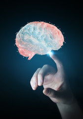 Overlooked Autoimmunity Can Cause Chronic Illness – What You Can Do -