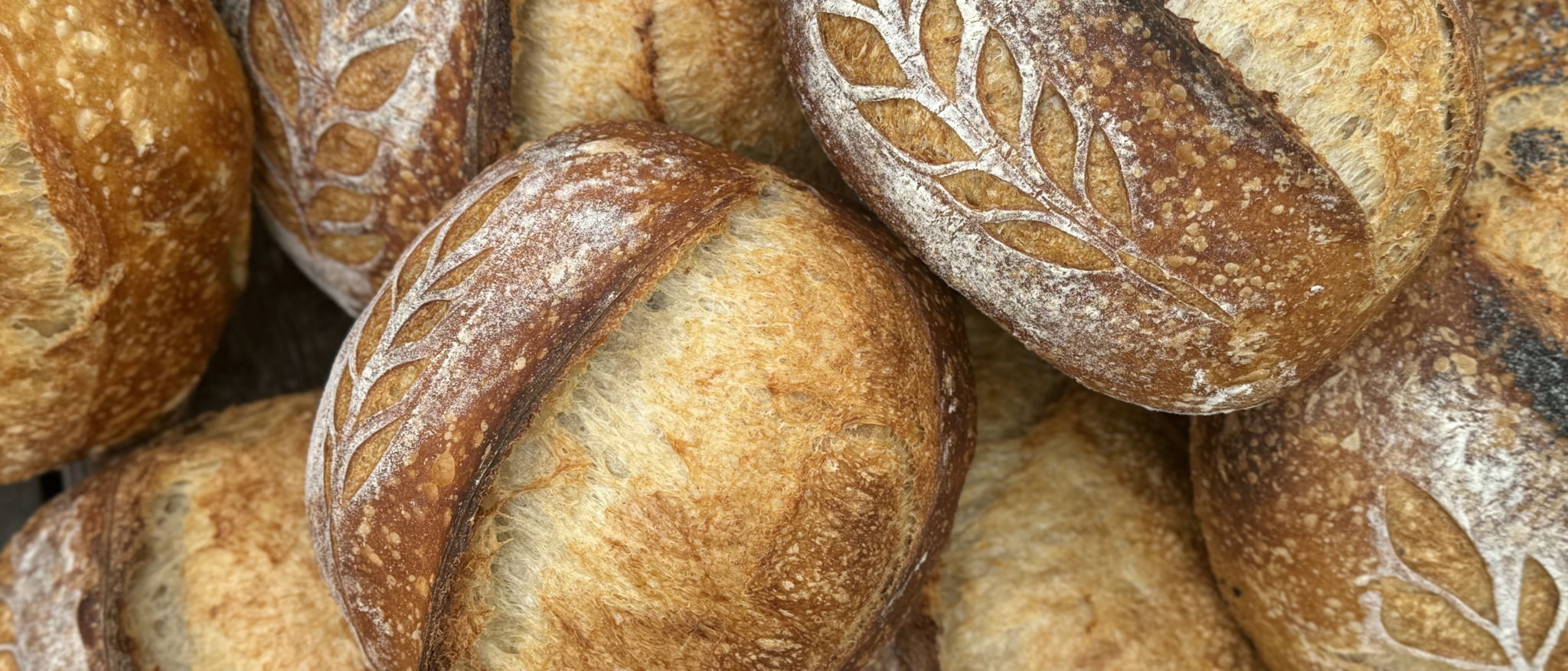 Bread2go.pl — photo from hotplate.com