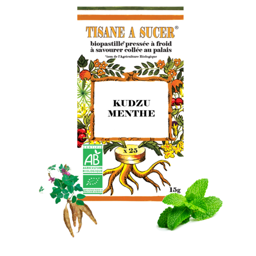 Pastilles kudzu & menthe bio