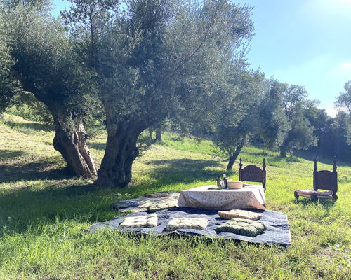Food & Wine Tours Tricarico: Aperitif with Lucanian Truffles and Aglianico del Vulture