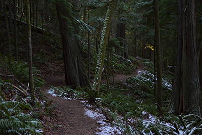 A section of the Fragrance Lake trail.