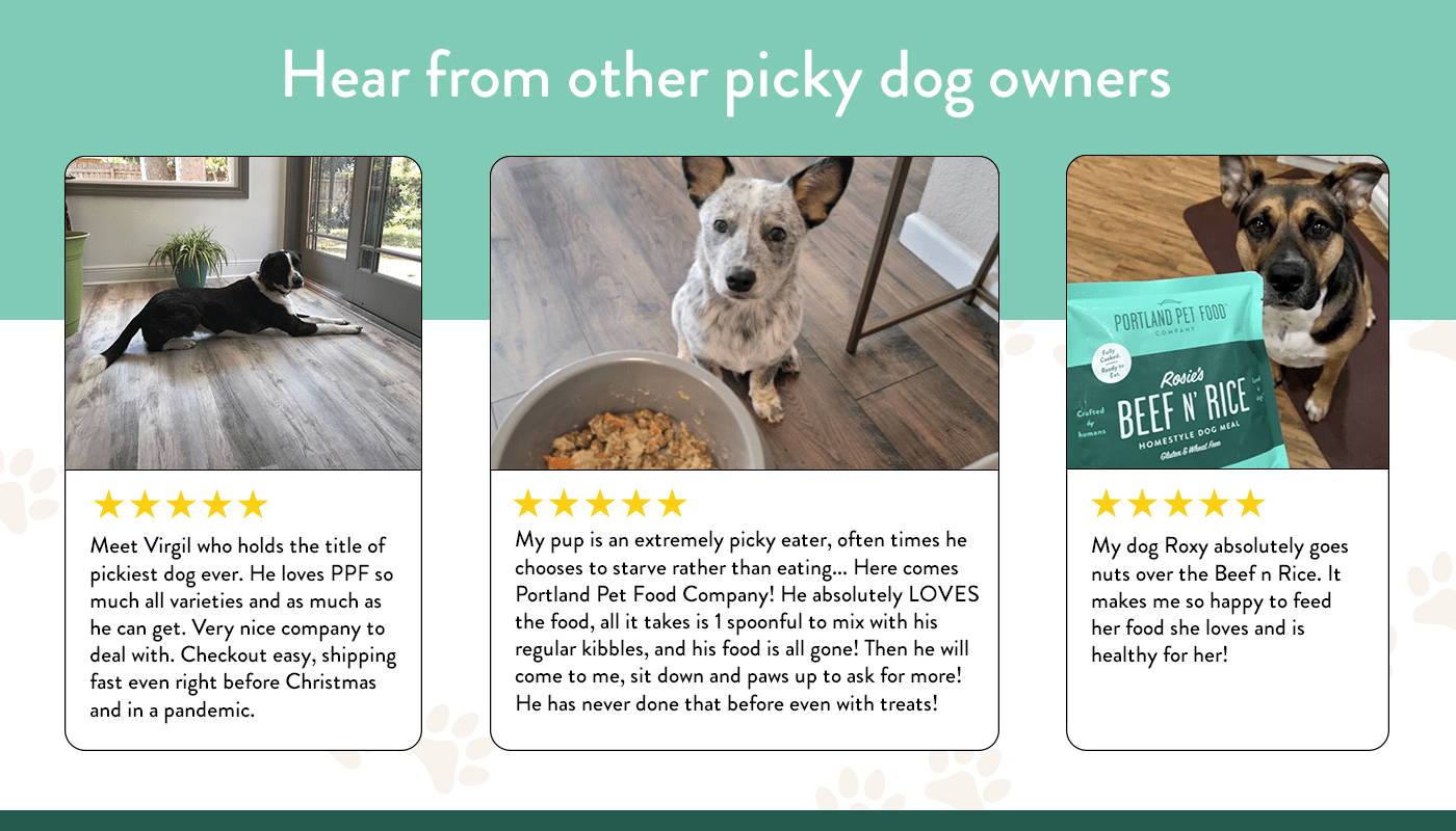 A selection of five star reviews from owners of picky dogs who love Portland Pet Food. 