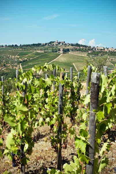 Florence: Wine Roads, Chianti Villages and San Gimignano - photo 2
