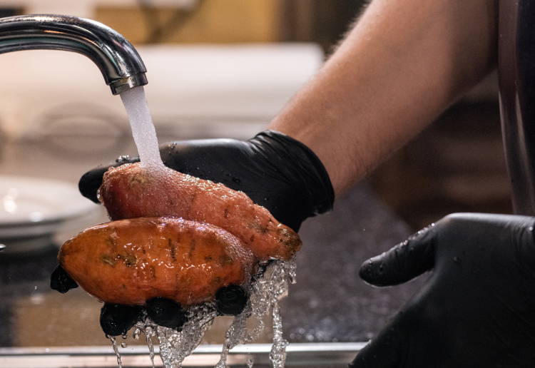 さつまいもカビ