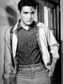 Elvis Presley King Creole Harrington Baracuta.