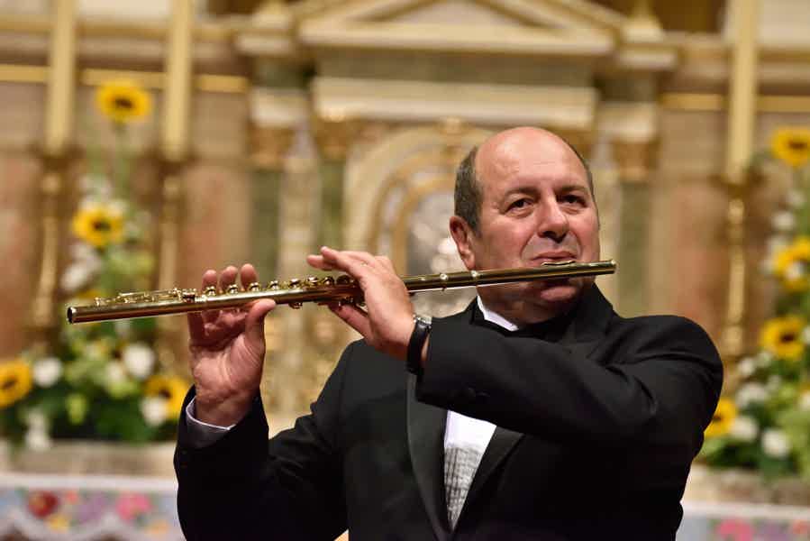 Organ concert in St. Stephen's Basilica - photo 4