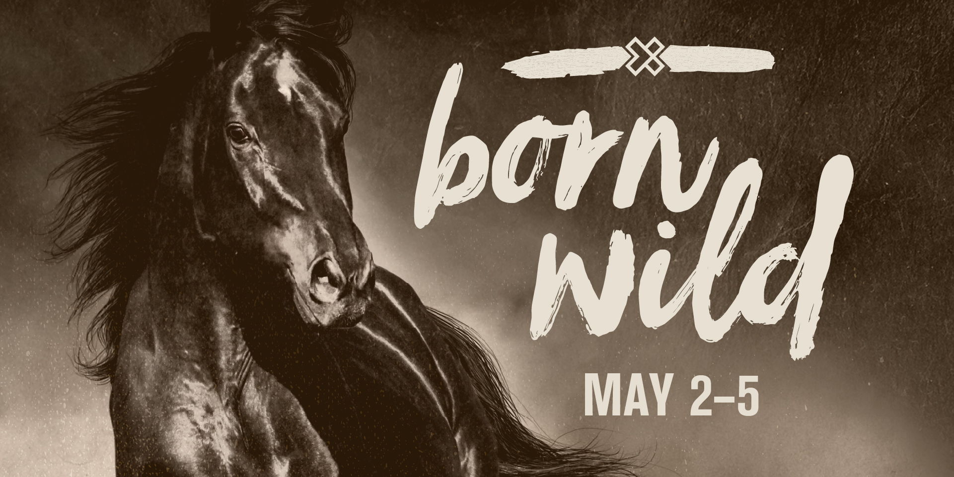Born Wild promotional image