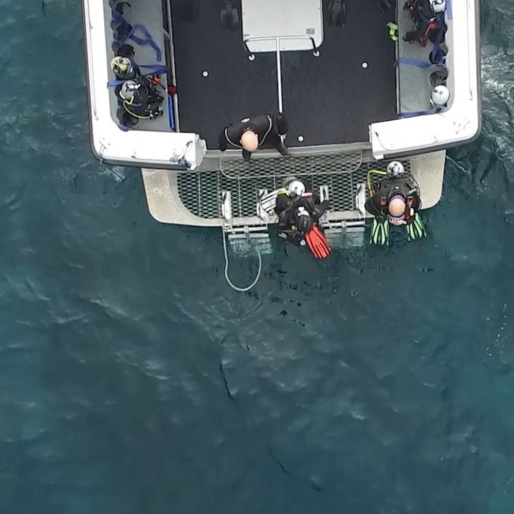5 x Sydney Double Boat Dive With Full Gear Hire