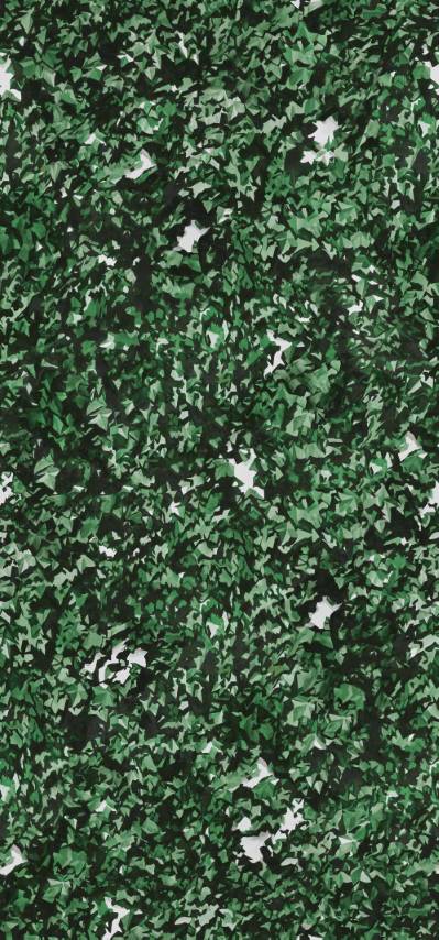 Green Trendy Ivy Nature Wallpaper hero image