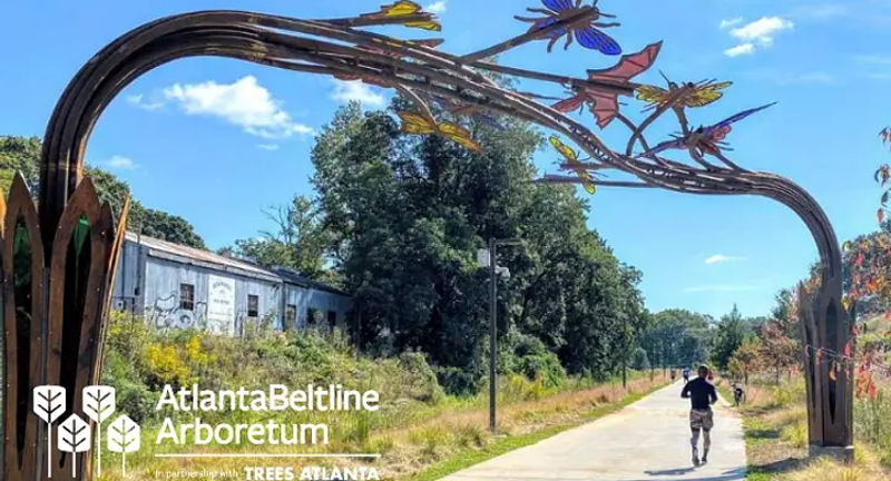 Sunset Tree Tour: Atlanta Beltline Arboretum Southwest Trail