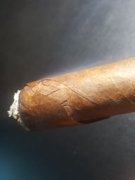 Cigar Session Photo