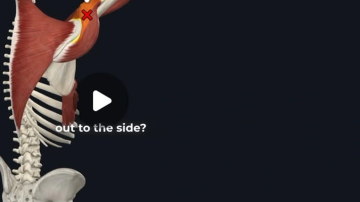 Main Content Image