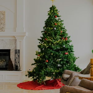 Christmas Tree for next season