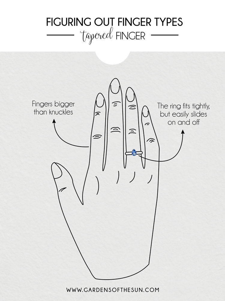 tapered finger illustration