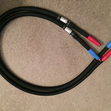 Proteus Provectus 1m RCA