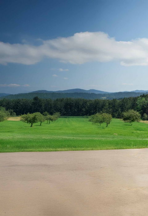 Gülleseparator von Paulmichl