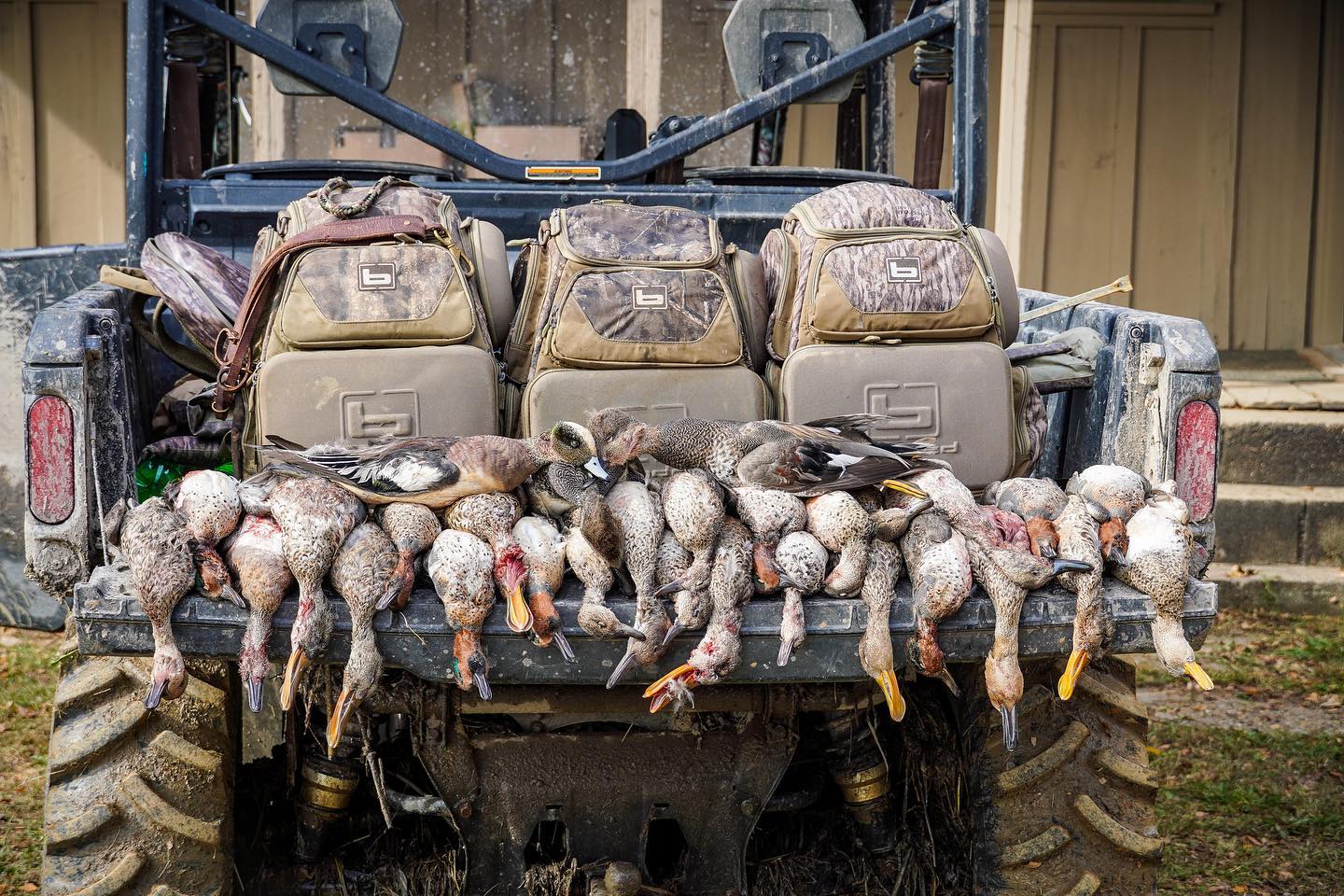 Outfitters In Arkansas Hunt Fish With Local Guides Mallard Bay