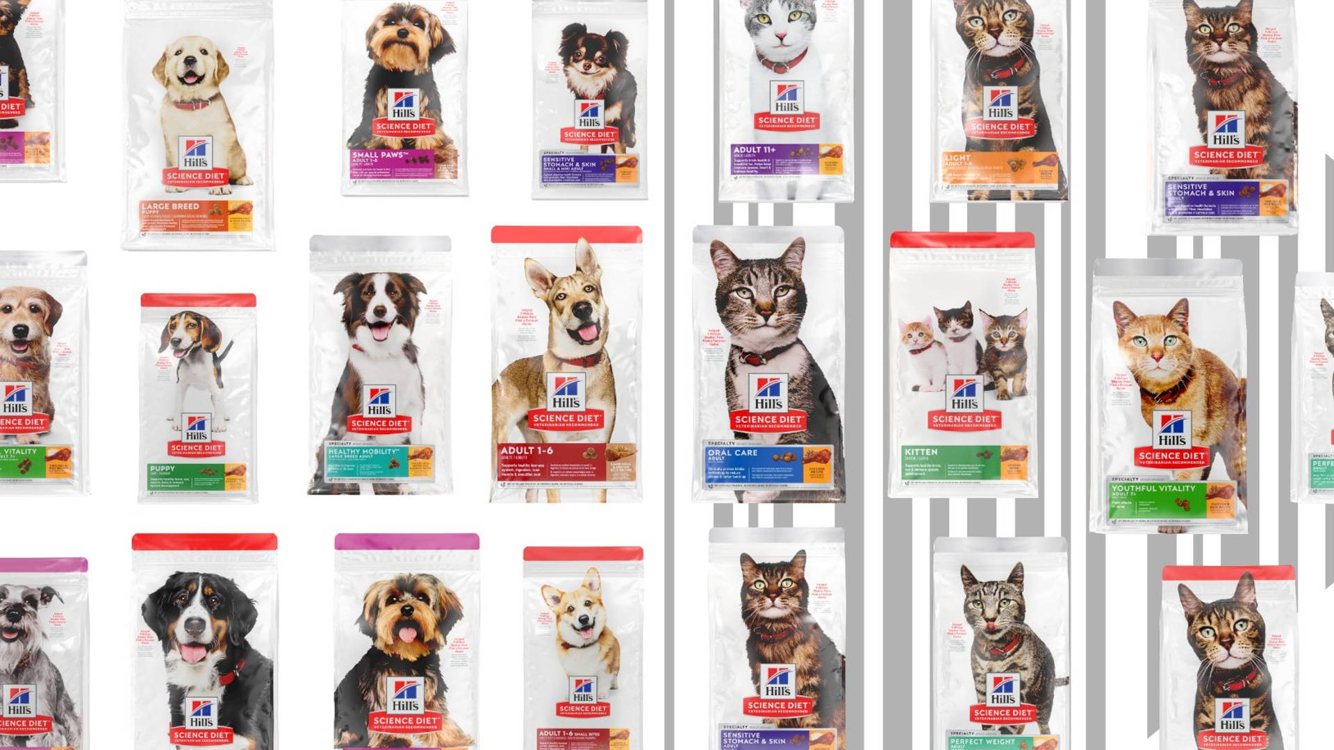 Pet Nutrition Puts Our Furry Companions Front & Center With Packaging Redesign Dieline - Design, Branding Packaging