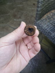 Cigar Session Photo