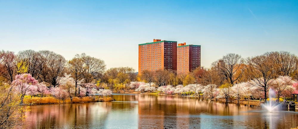 Photo by <a href="https://unsplash.com/@rthiemann?utm_source=unsplash&utm_medium=referral&utm_content=creditCopyText">Robert Thiemann</a> on <a href="https://unsplash.com/photos/body-of-water-near-trees-and-buildings-during-daytime-vqyHS05WG8g?utm_source=unsplash&utm_medium=referral&utm_content=creditCopyText">Unsplash</a>