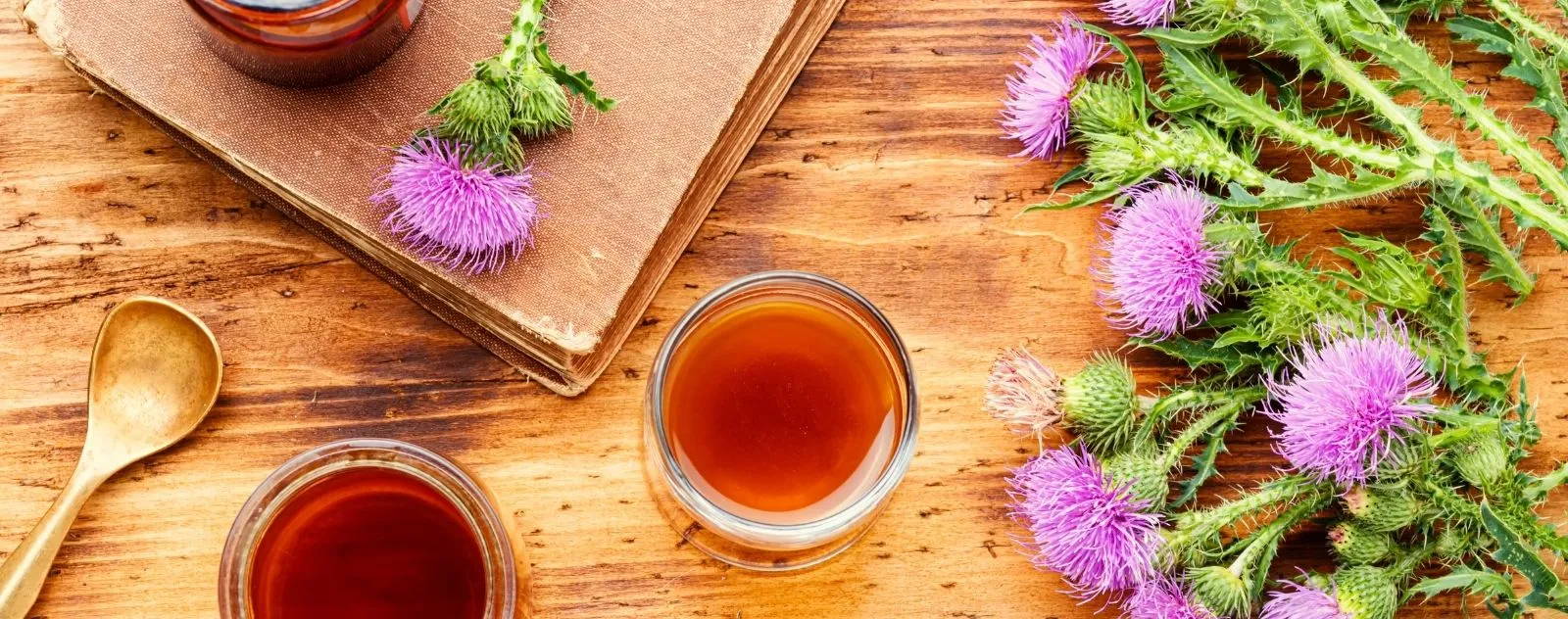 Trois verres de tisane de chardon-Marie sur une table en bois avec des fleurs de chardon à côté, herbes bénéfiques pour la santé du foie.