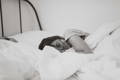 Woman sleeping on a bed in black and white to help her skin