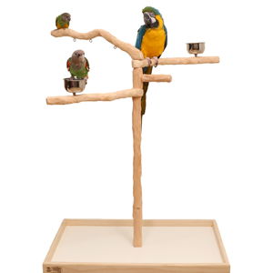 Parrot Wizard's Perfect Tree