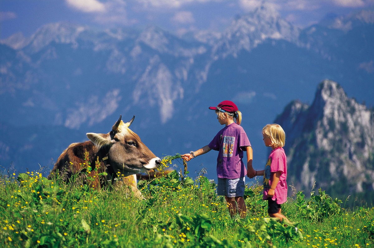 Outdoor-Spaß für die ganze Familie im Allgäu.