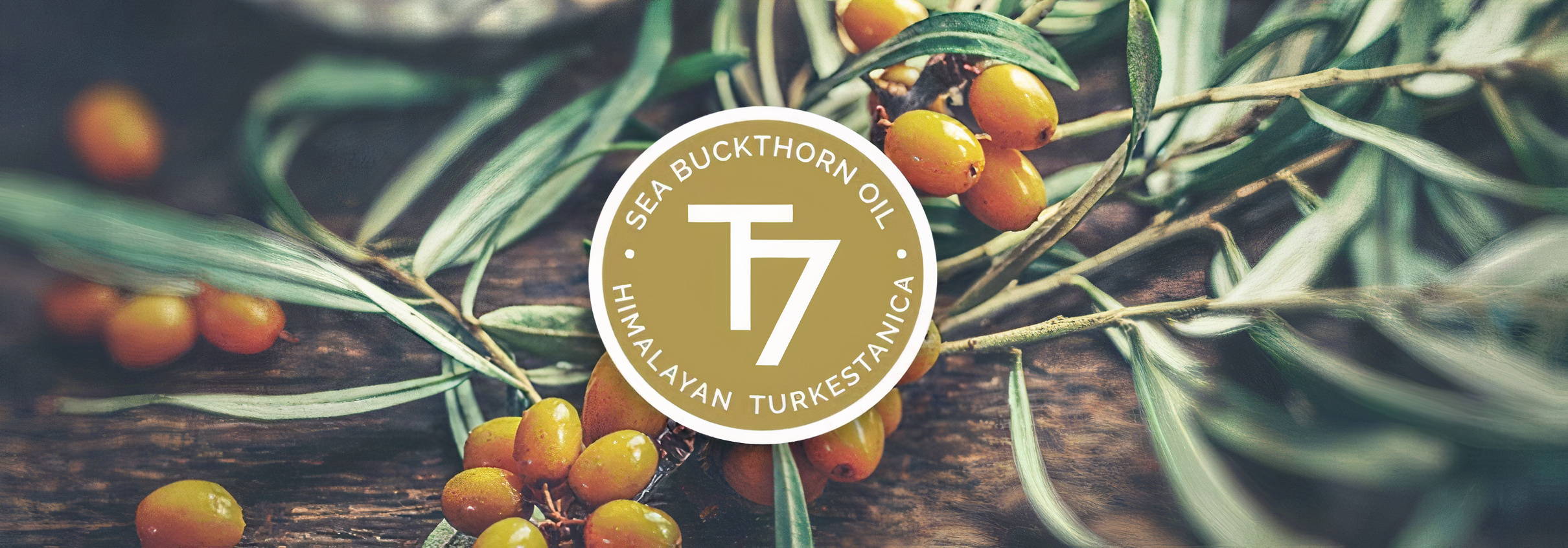 Sea Buckthorn Oil T7 Himalayan Turkestanica seal