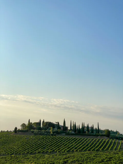 From Florence: Siena, Monteriggioni & San Gimignano Tour