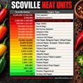 scoville heat units chart scoville heat units chart