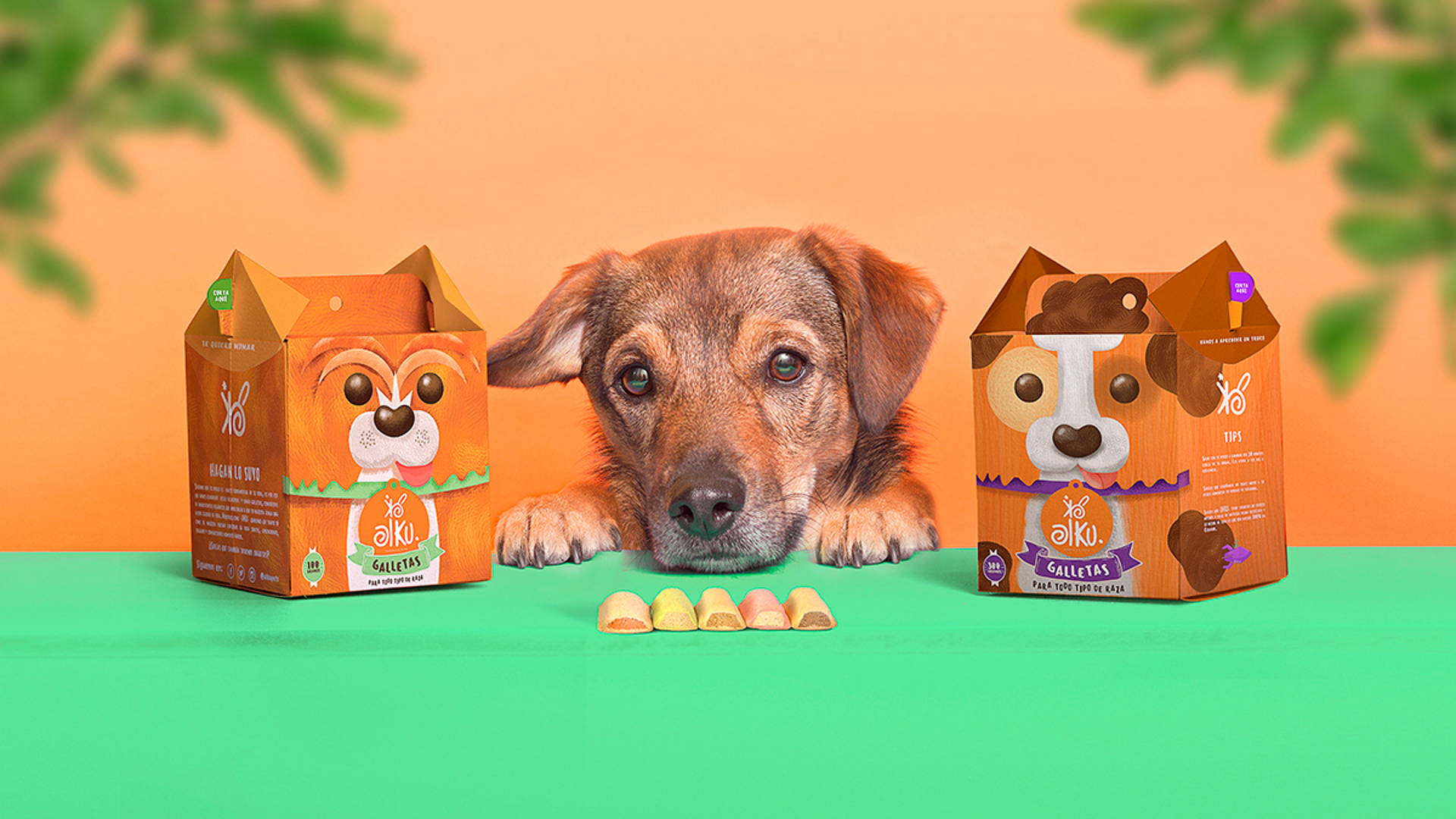 Featured image for This Dog Treat Packaging is Absolutely Adorable