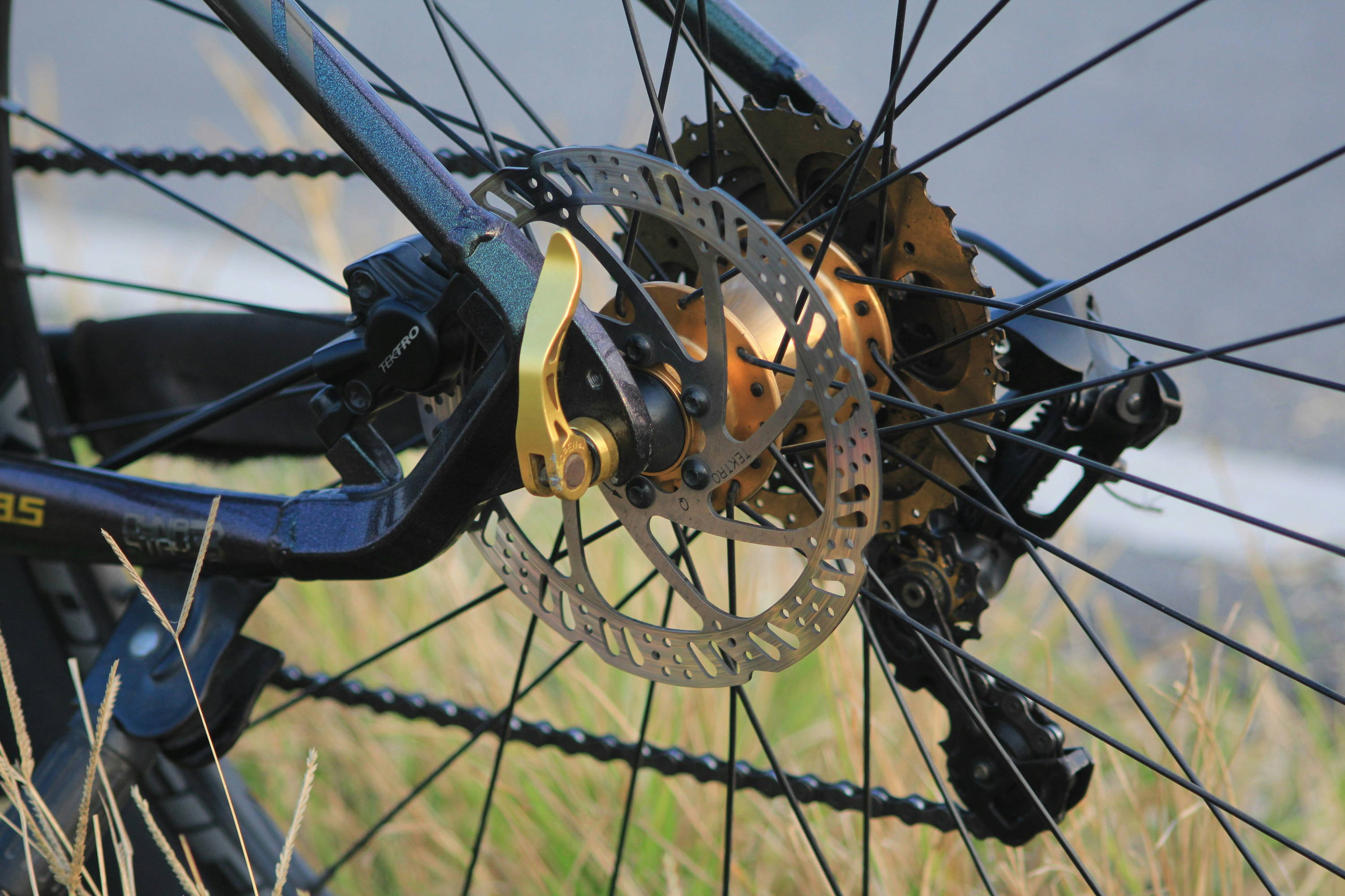 anhänger für mountainbike TREILER®️ 350- Der Fahrradanhänger für 6 E-Bikes main image 1
