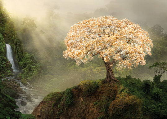 Tree of life standing on a hill. Light shines down around it.