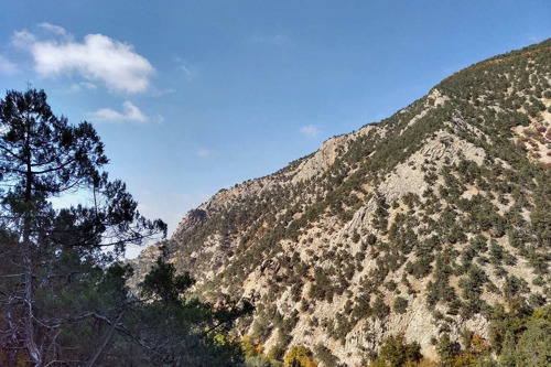 Изумрудный каньон и урочище Алсу: пеший поход с гидом