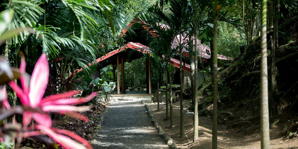 Self Reset Yoga Retreat in Costa Rica promotional image