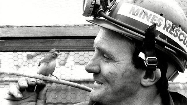 a miner looking at a canary