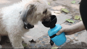Portable Water Bottle – Portables Pet Water Bottles