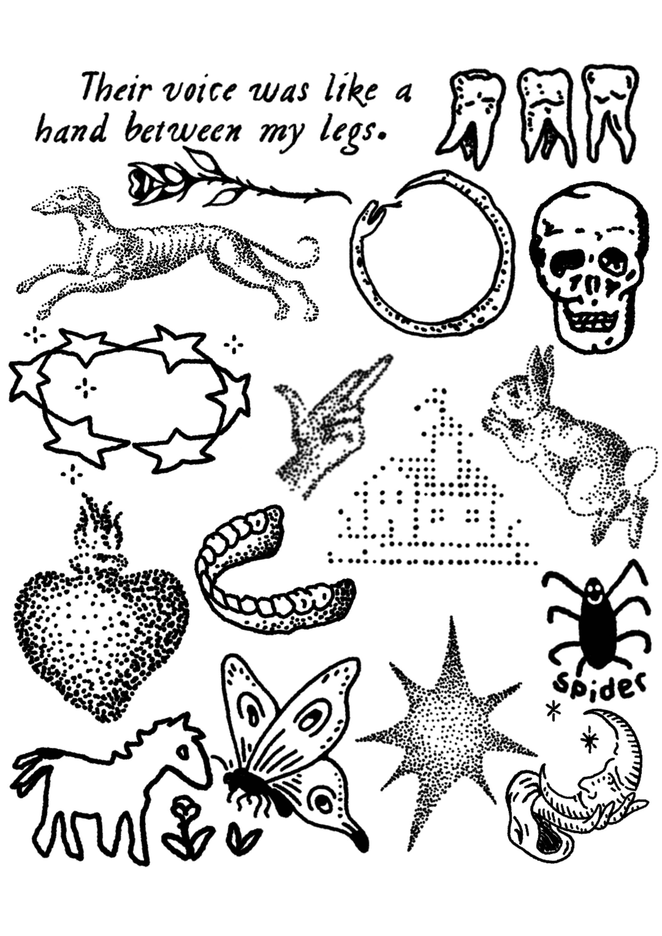 Dr Pickles - Store Image