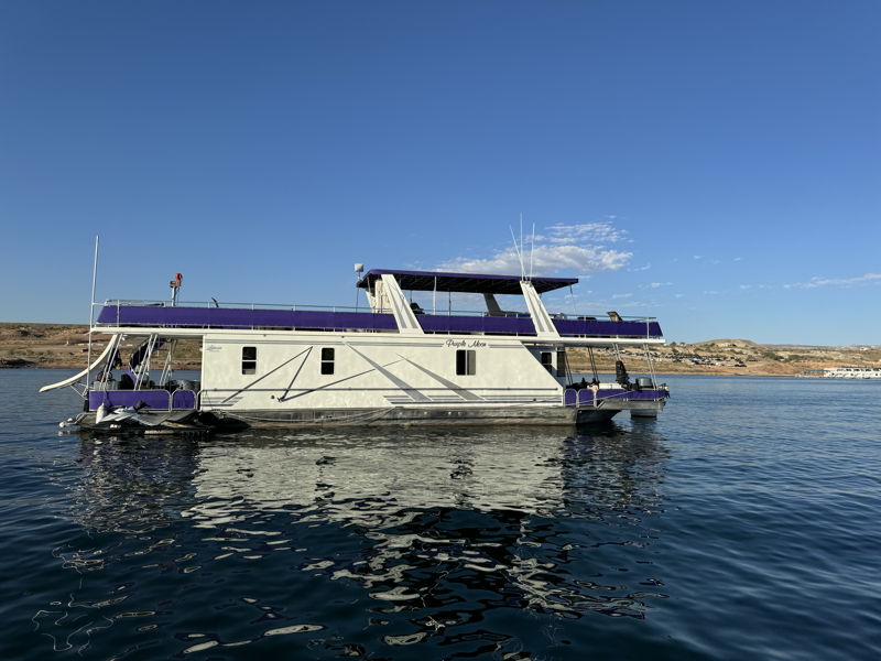 Picture of PURPLE MOON
