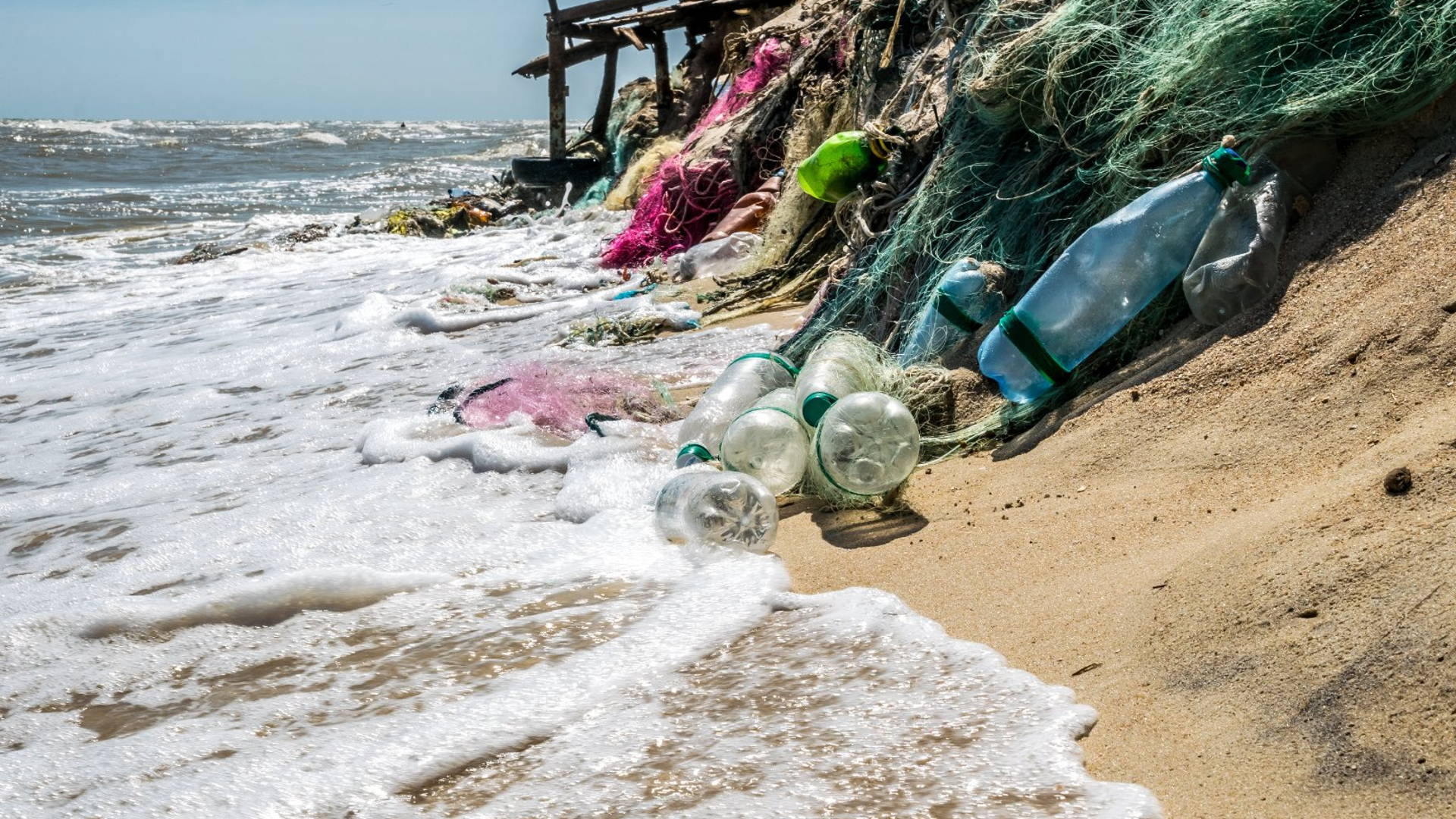 Featured image for California's New EPR-Style Law Will Phase Out Single-Use Plastics