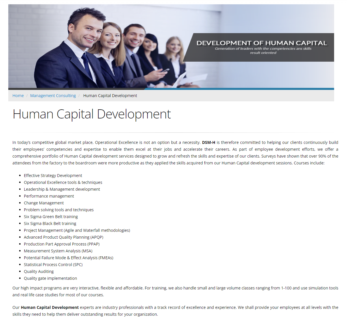 DSM-H Consulting product / service