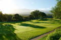 Sunlit scenic golf course fairway with lush green grass and cart path