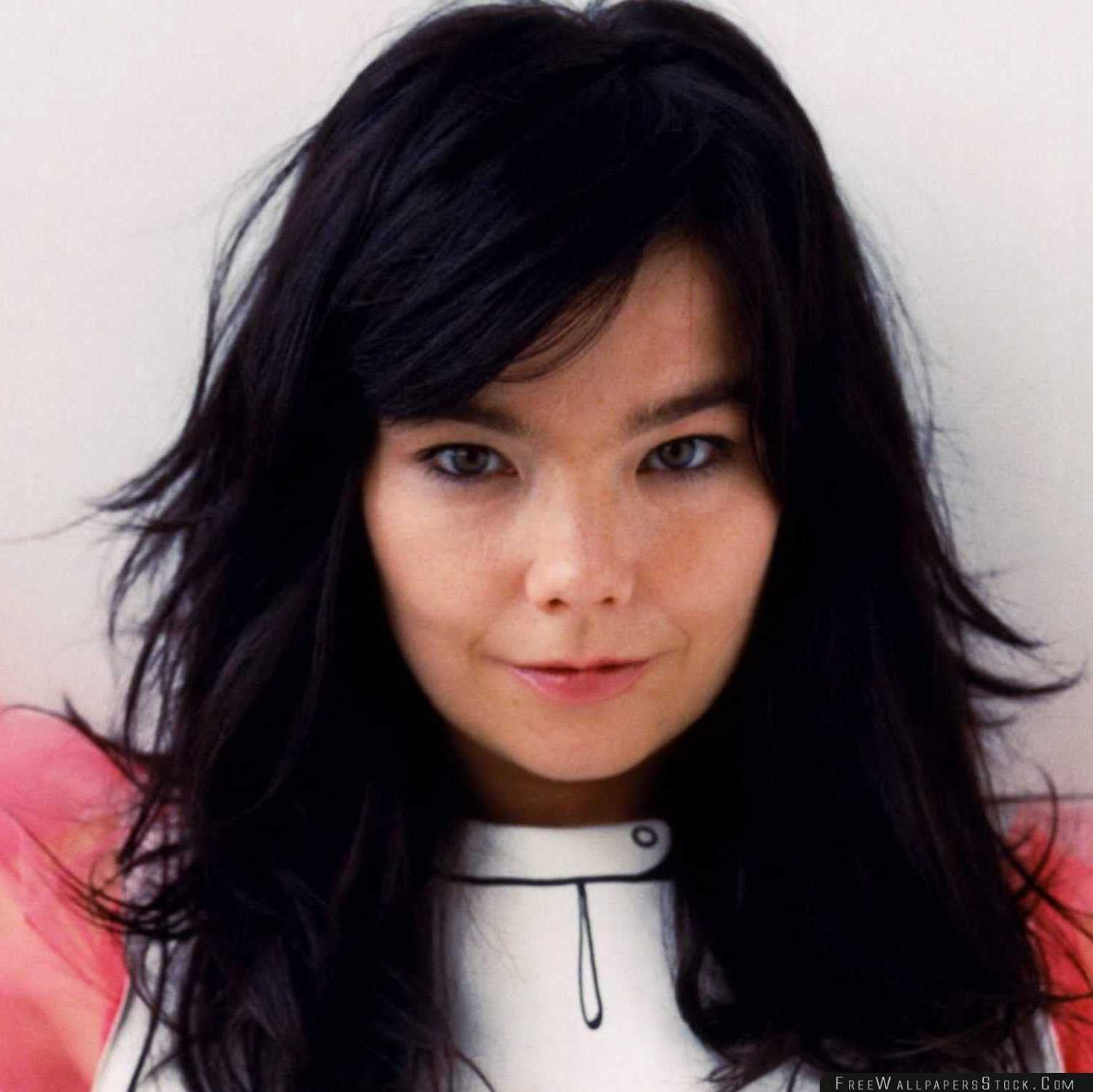 boog produceren Archeoloog Björk | Famous Bi People | Bi.org